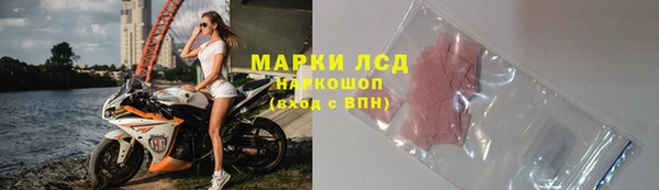 стаф Липки