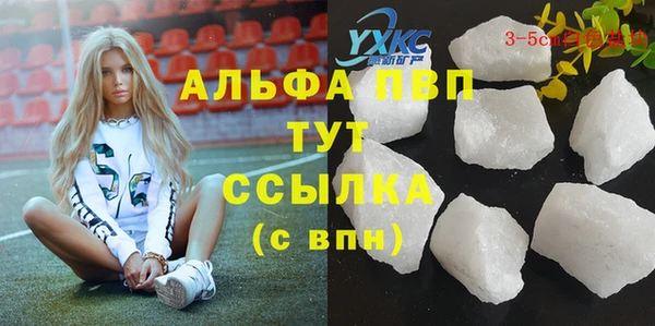 стаф Майский