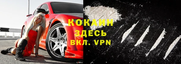 стаф Майский