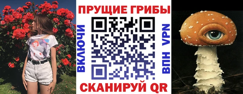 Галлюциногенные грибы прущие грибы  Купить закладки  Оханск 